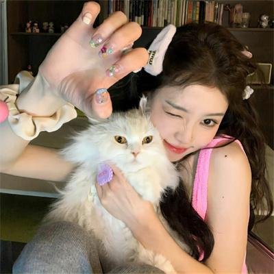 金装律师第三季